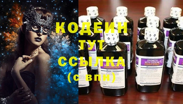 прущий лед Алзамай