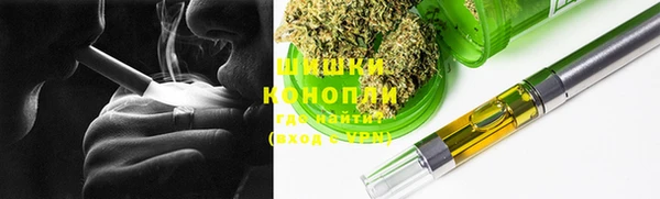 прущий лед Алзамай