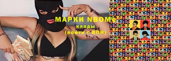 прущий лед Алзамай