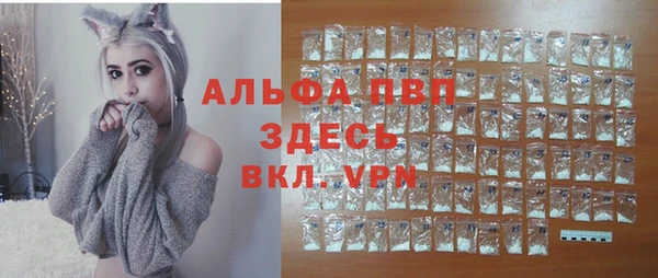 прущий лед Алзамай
