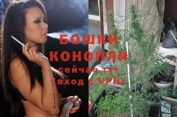 прущие грибы Кулебаки