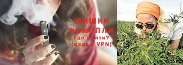 прущие грибы Кулебаки