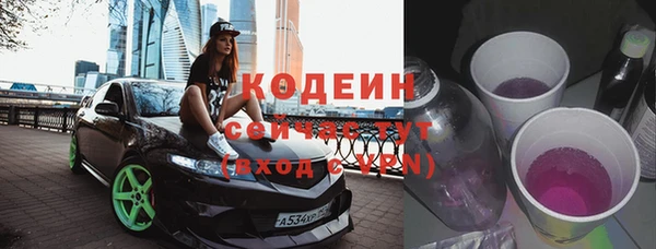 прущий лед Алзамай