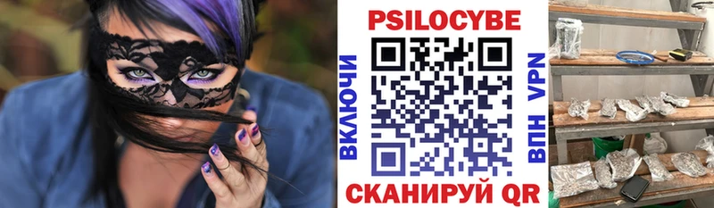 Псилоцибиновые грибы Psilocybe  Махачкала 